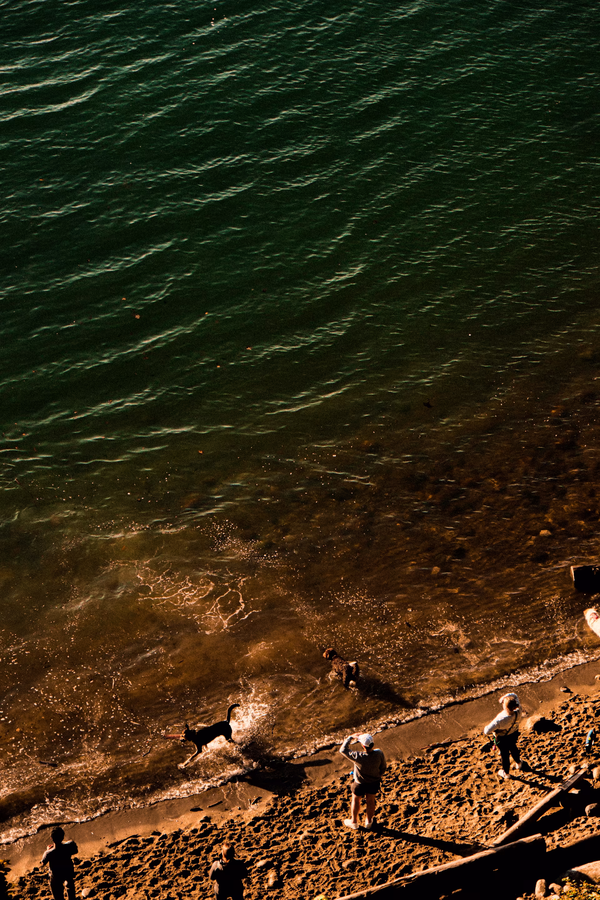 Vancouver plage