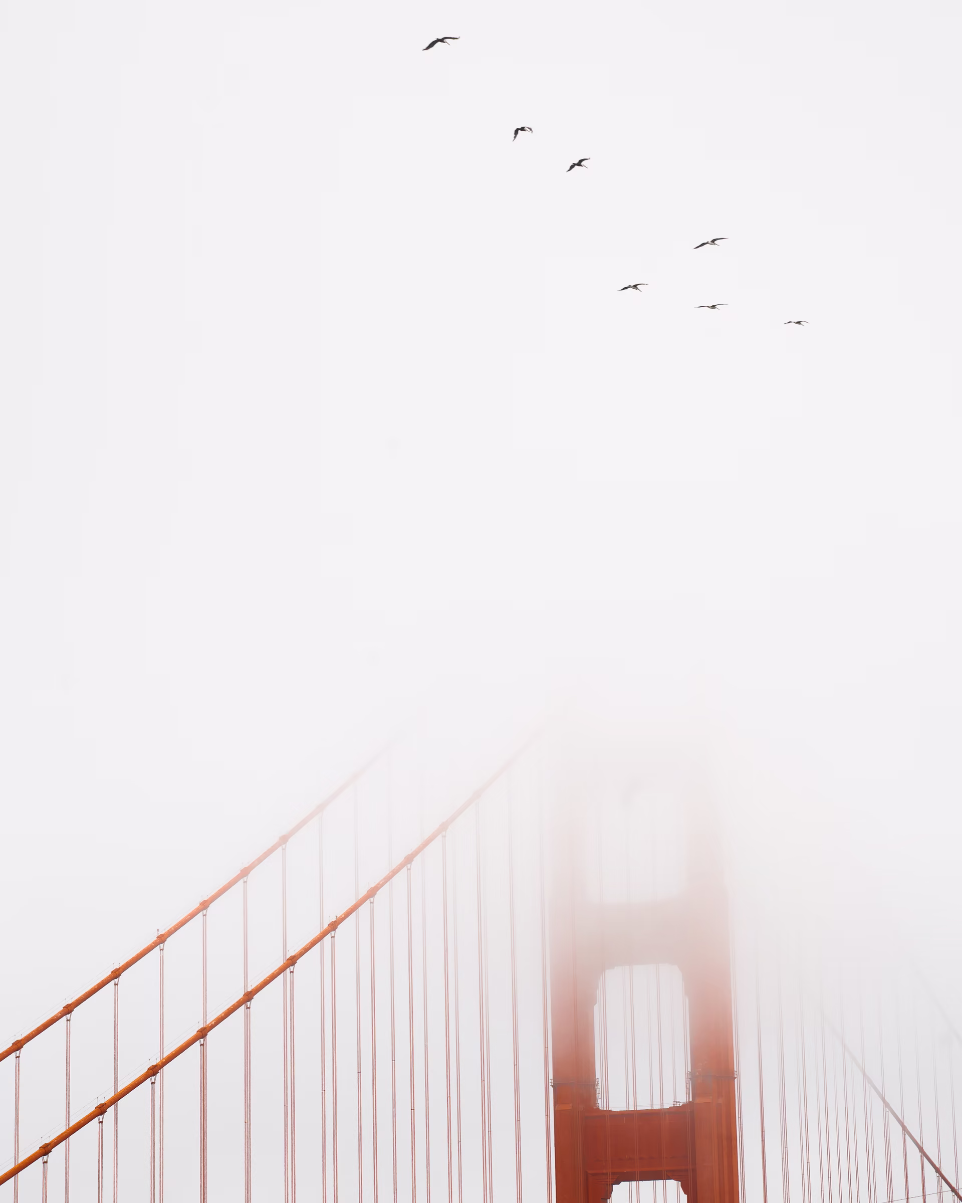 Golden Gate Bridge