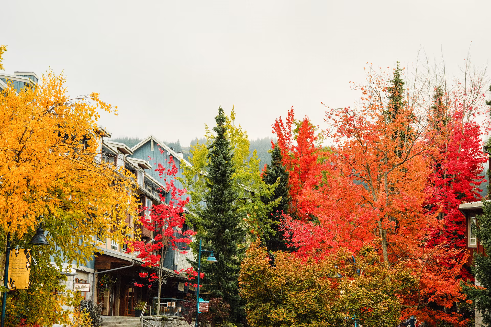 Whistler